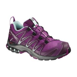 Salomon Xa Pro 3D Gore-Tex Kadın Patika Koşusu Ayakkabısı