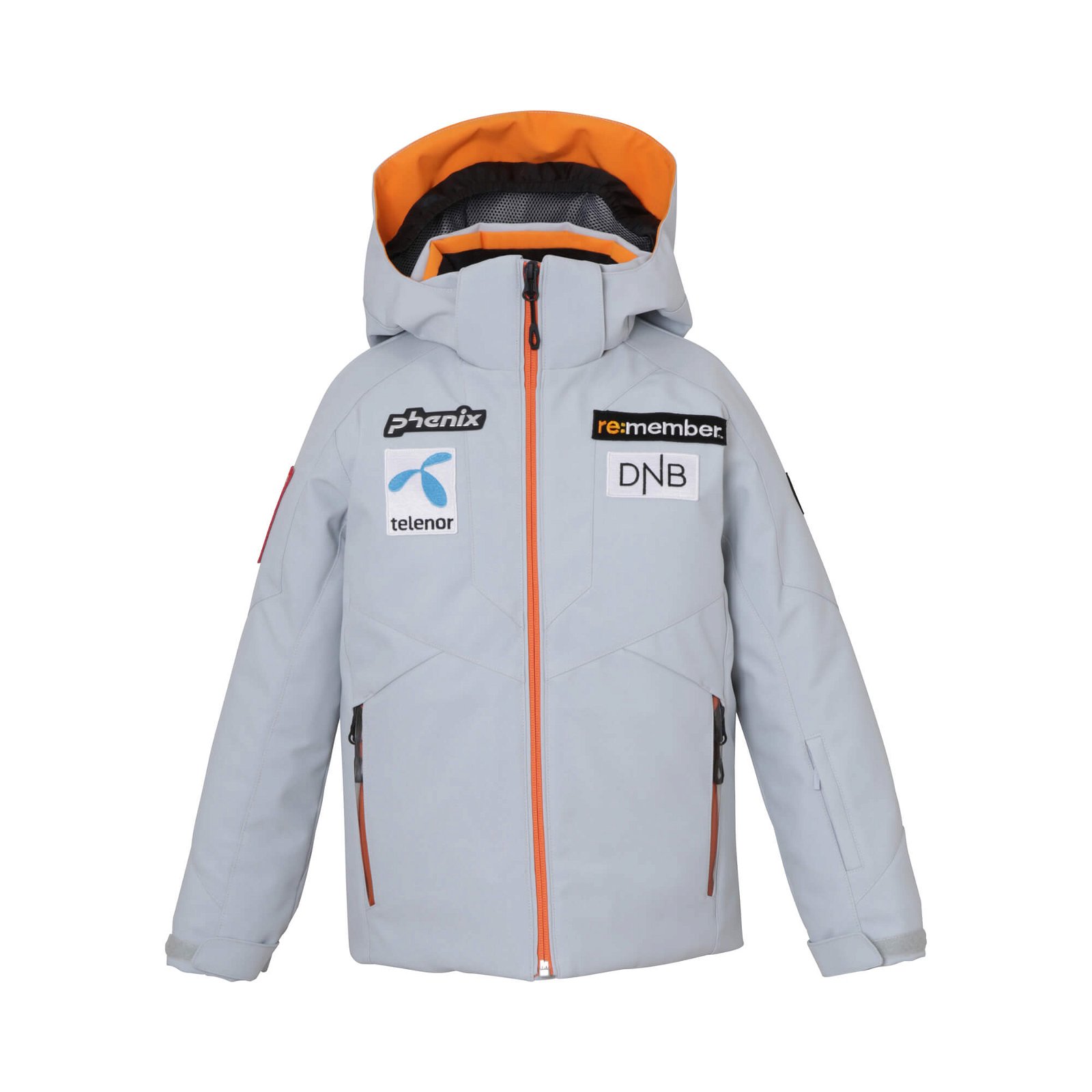 Norway Alpine Team Kids Jacket - GRİ - 1