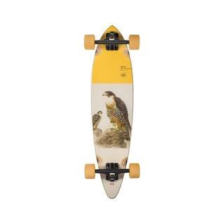 Globe Pintail 34 The Sentinel Complete Skateboard
