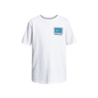Quiksilver Radical Roots T-Shirt