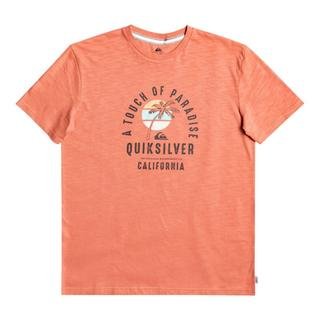 Quiksilver Quiet Hour Erkek T-shirt