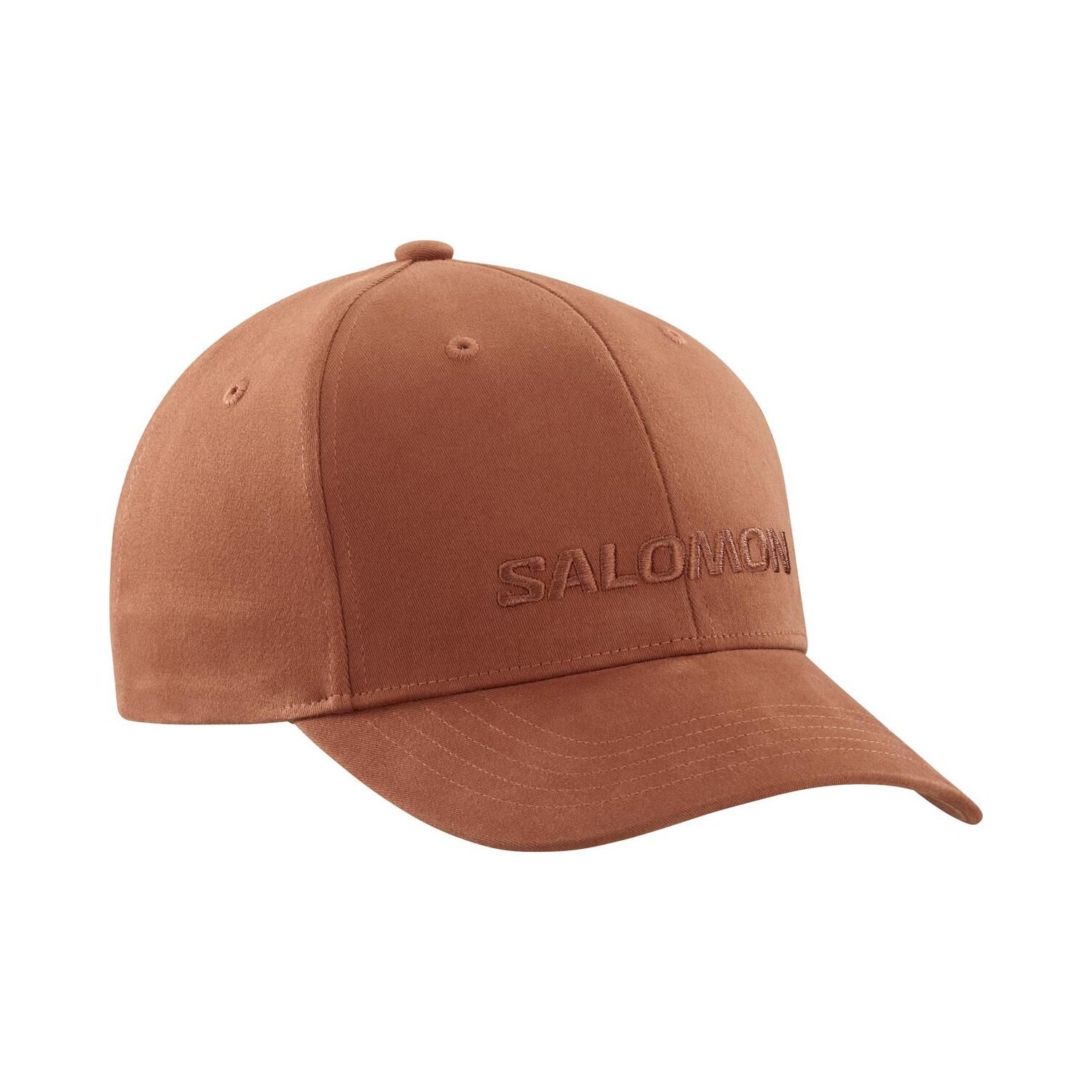 Salomon Logo Şapka - Renkli - 1