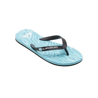 Quiksilver Erkek Terlik Molokai Art II Mavi Günlük Giyim