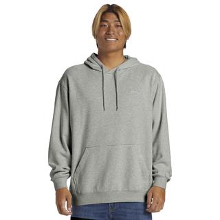 Quiksilver Salt Water Hoodie Erkek Sweatshirt