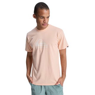 Quiksilver Ev Comp Logo Erkek Pembe Tişört