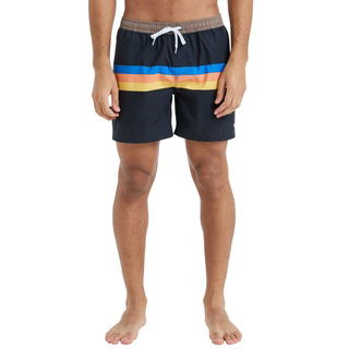 Quiksilver Everyday Straight Volley 15 Erkek Siyah Volley Short