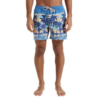 Quiksilver Everyday Straight Volley 15 Erkek Mavi Volley Short