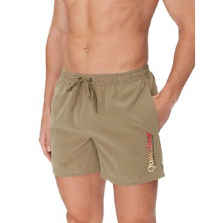Quiksilver Spl Fineline Volley 15 Erkek Volley Short