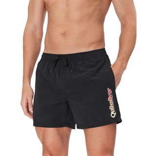 Quiksilver Spl Fineline Volley 15 Erkek Siyah Volley Short