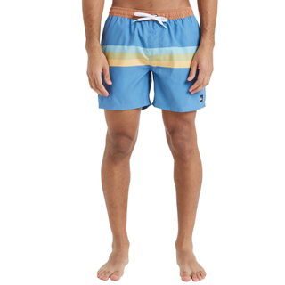 Quiksilver Everyday Straight Volley 15 Erkek Mavi Volley Short