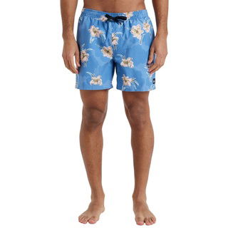 Quiksilver Everyday Straight Volley 15 Erkek Mavi Volley Short