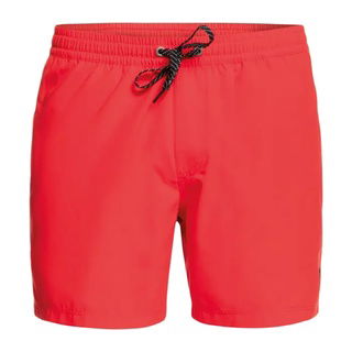 Quiksilver Erkek Volley Short Everyday Solid Volley 15"